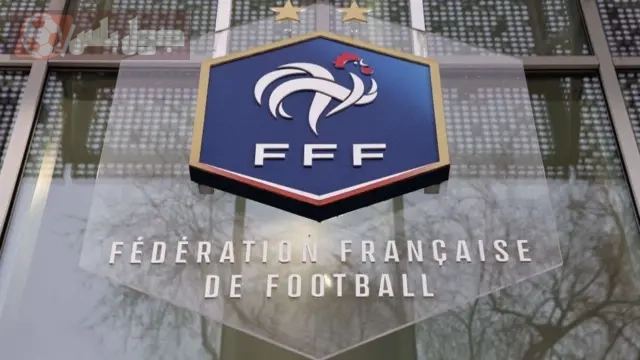 الاتحاد الفرنسي
