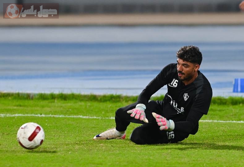 محمد صبحي