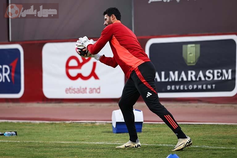 محمد الشناوي