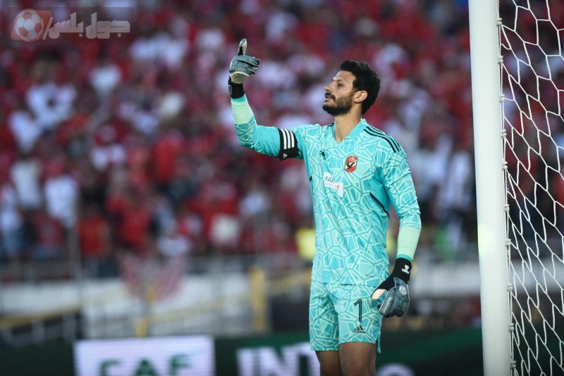 محمد الشناوي